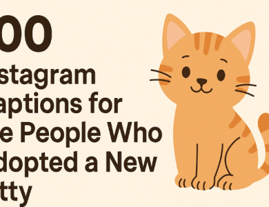 100 captions for kitty
